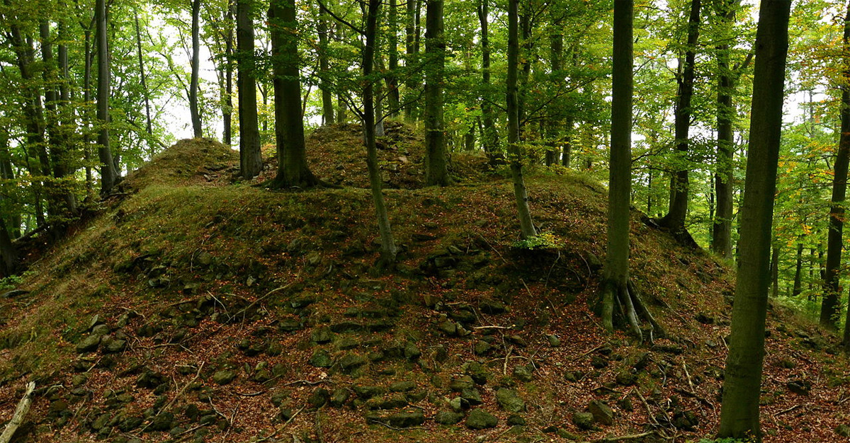 Burg bei Albrechtice