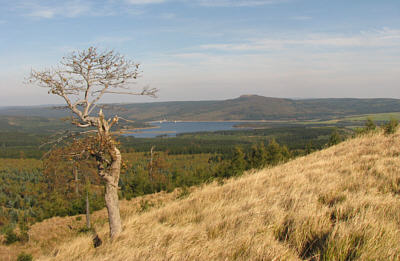 Großer Spitzberg