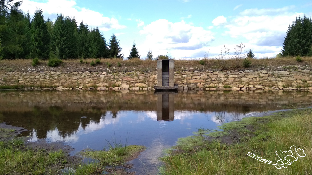 Waldsee bei Kühnhaide