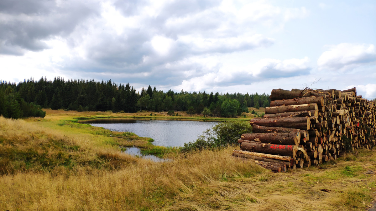 Ochsenstaller Teich