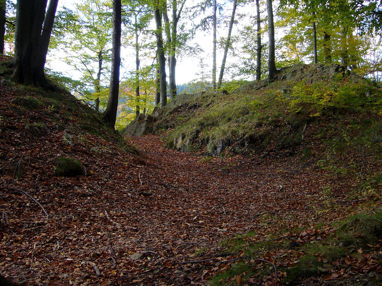 Raubschloss Brandau
