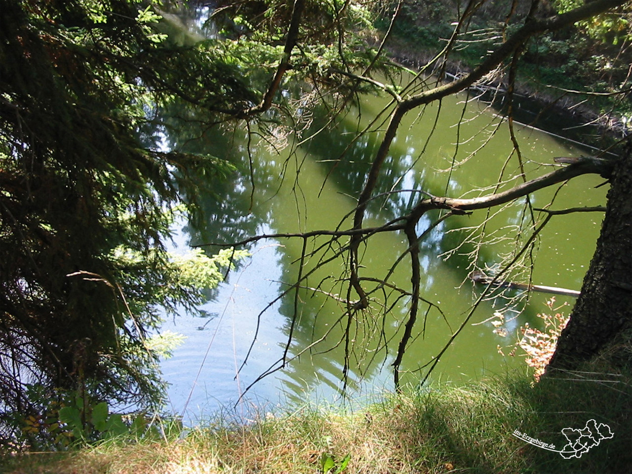 Basaltsee bei Ansprung