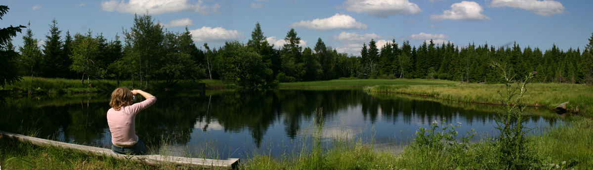 Tiefenbacher See
