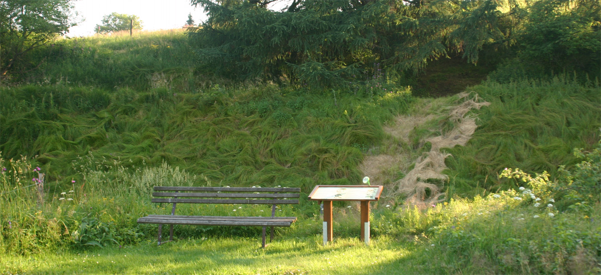 Heilkräuterlehrpfad