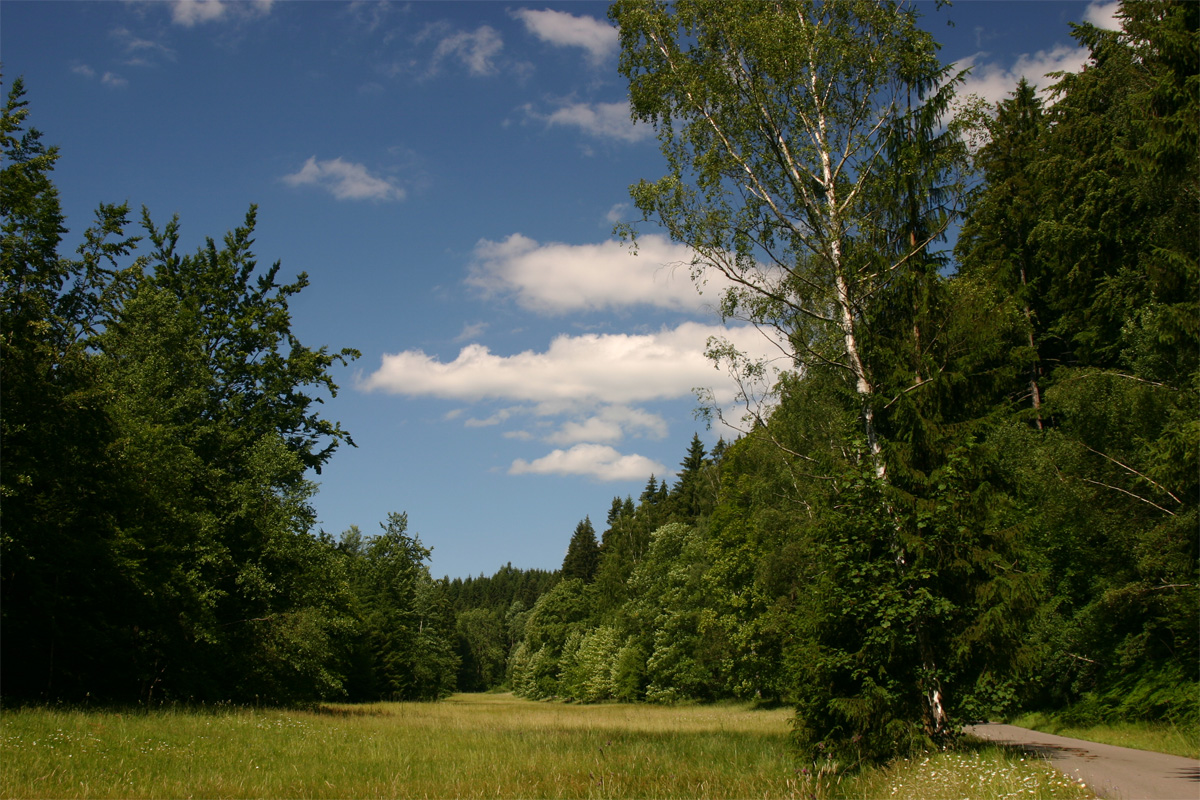 Bornwald / Heinzewald