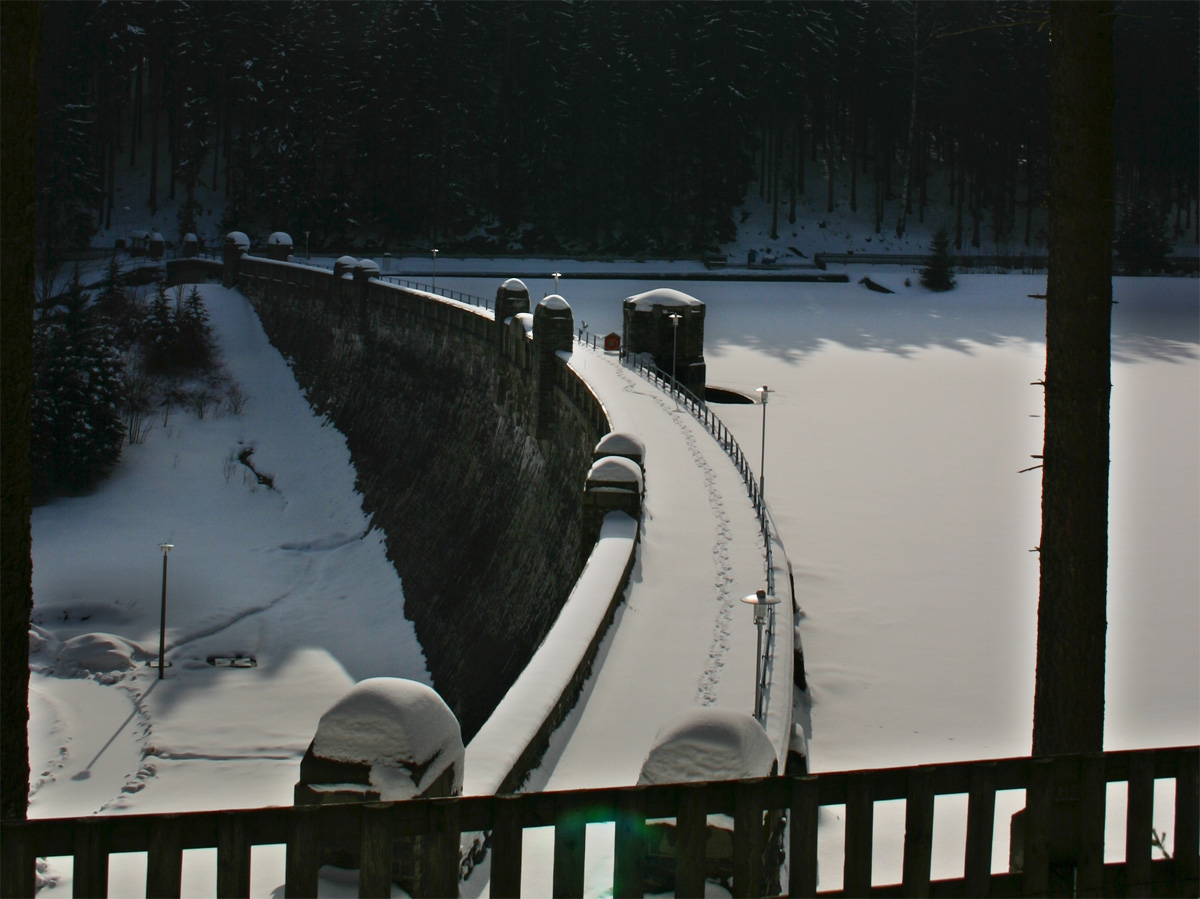 Talsperre Neunzehnhain I