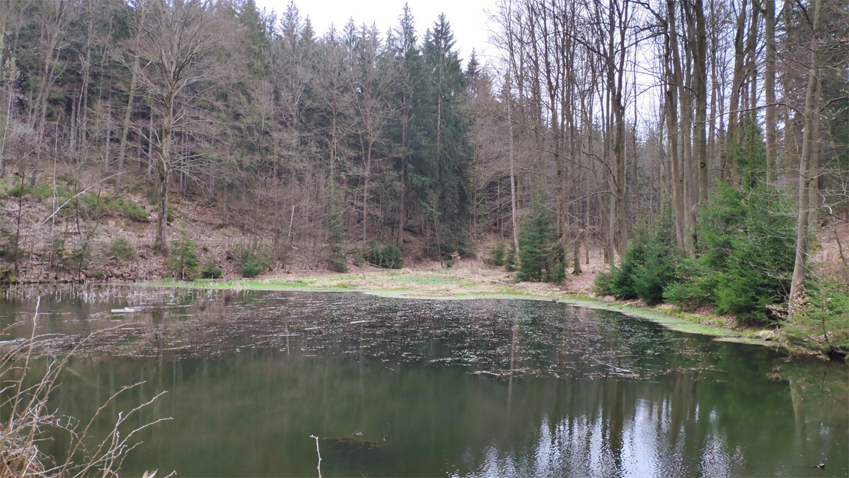 Schwarzer Teich bei Augustusburg