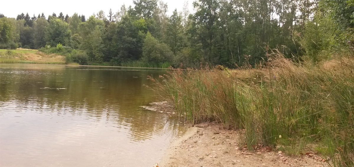 Badesee Grillenburg