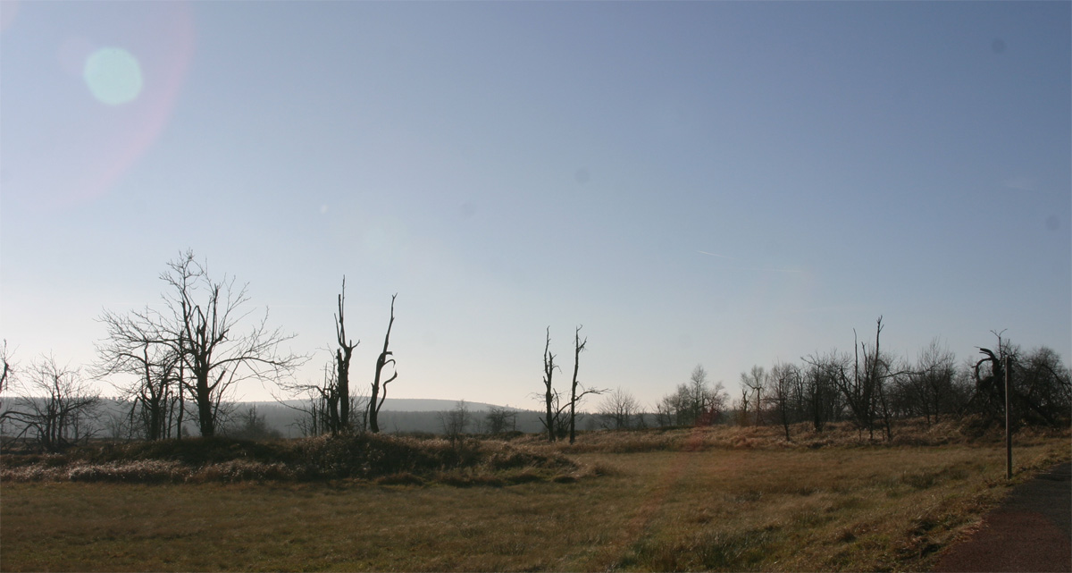 Hochmoor Zinnwald-Georgenfeld