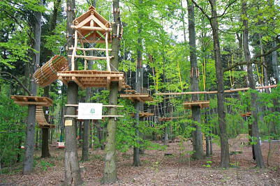 Sherwood Forest