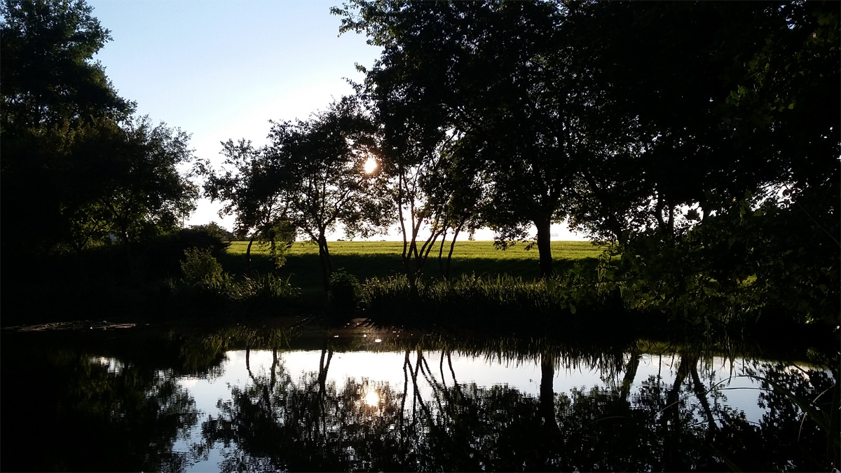 Schafteich Reinsberg