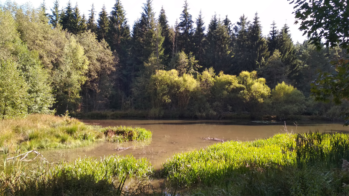 Jungfernteich