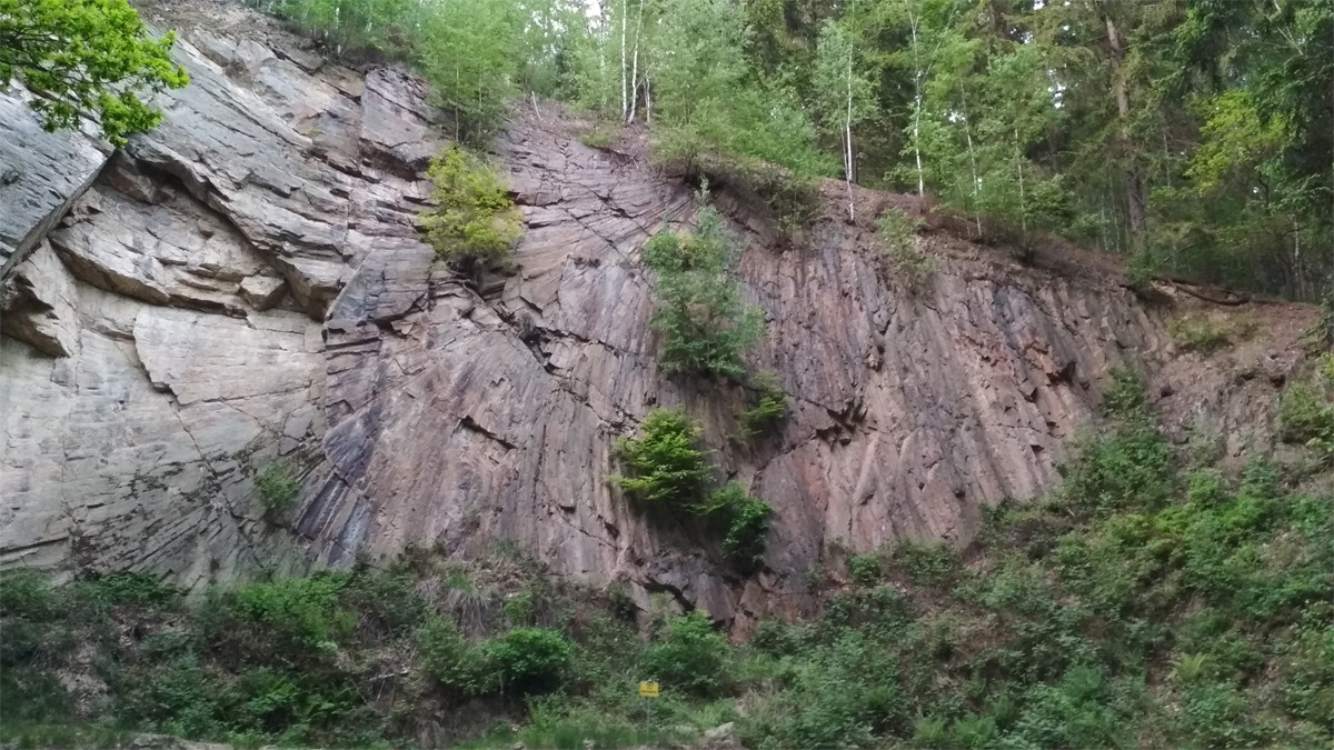 Porphyrfächer