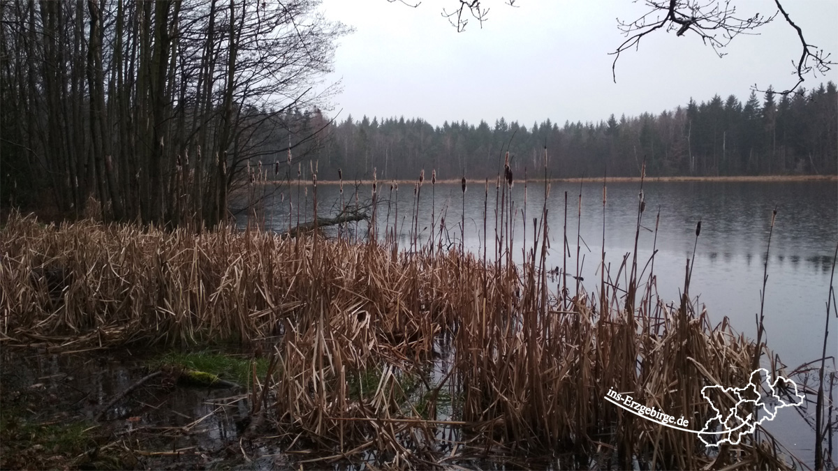Mittelteich