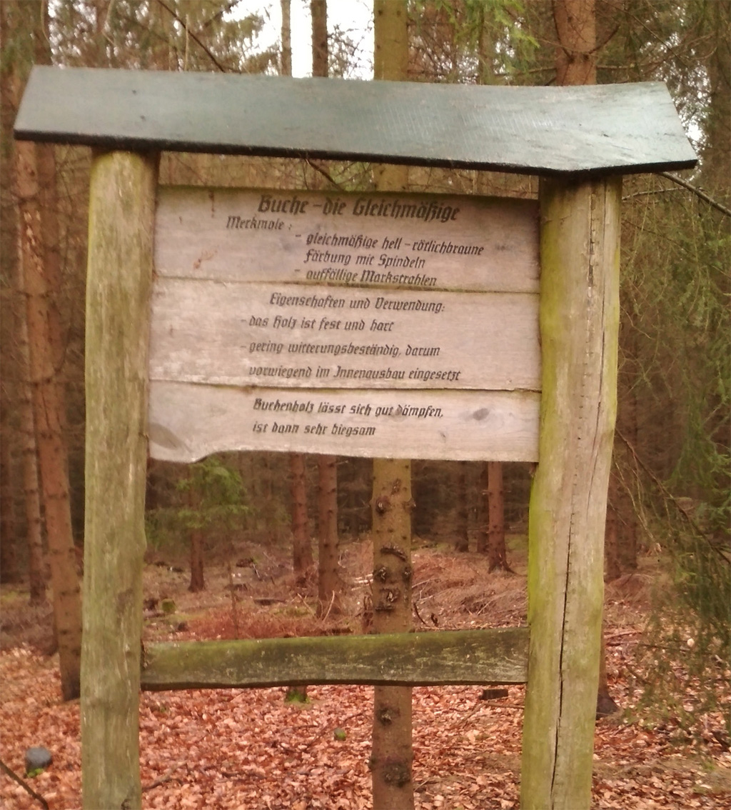 Stadtwald Freiberg