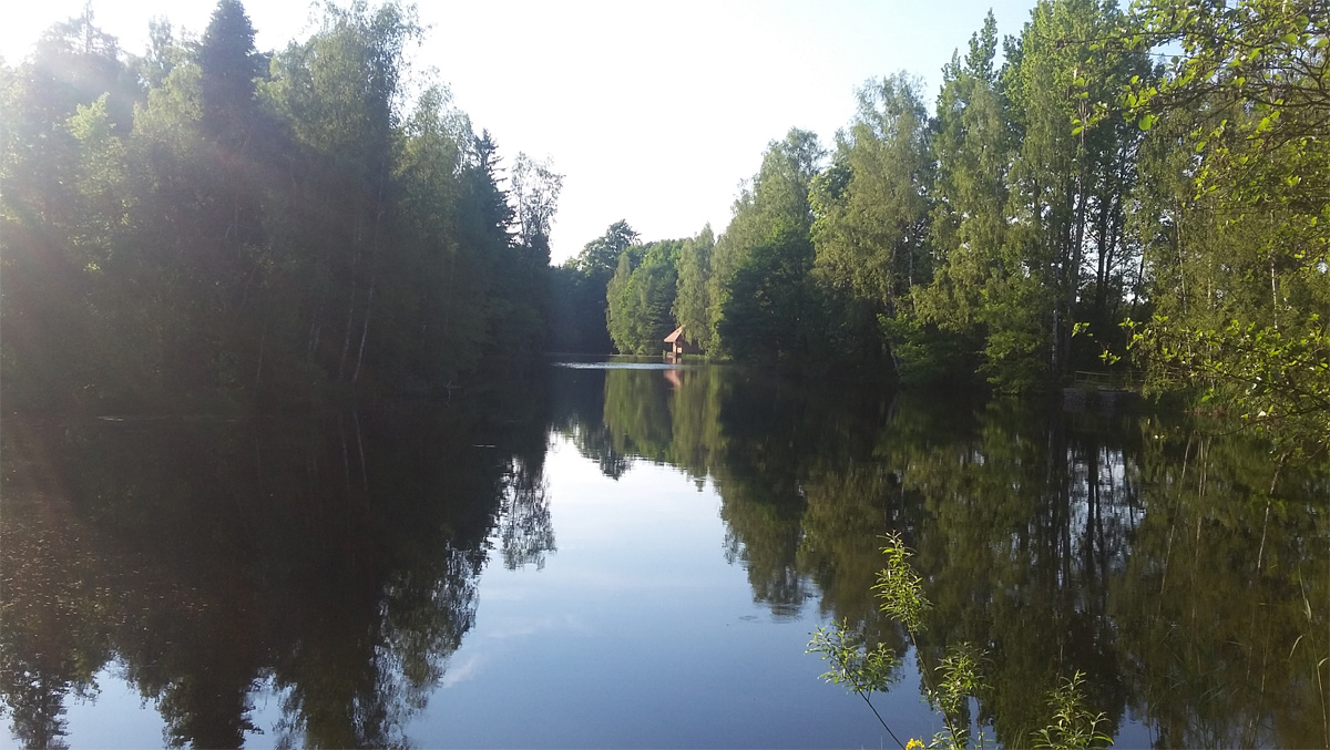 Oberer Teich