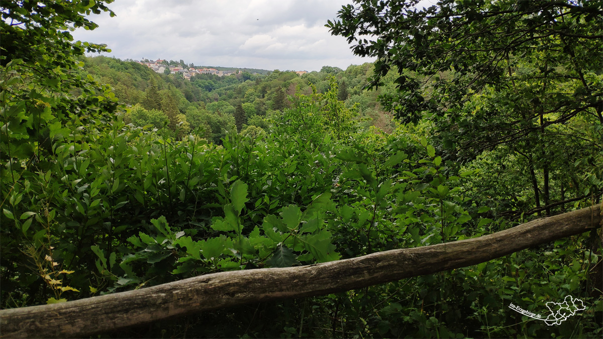 Weiße Bank