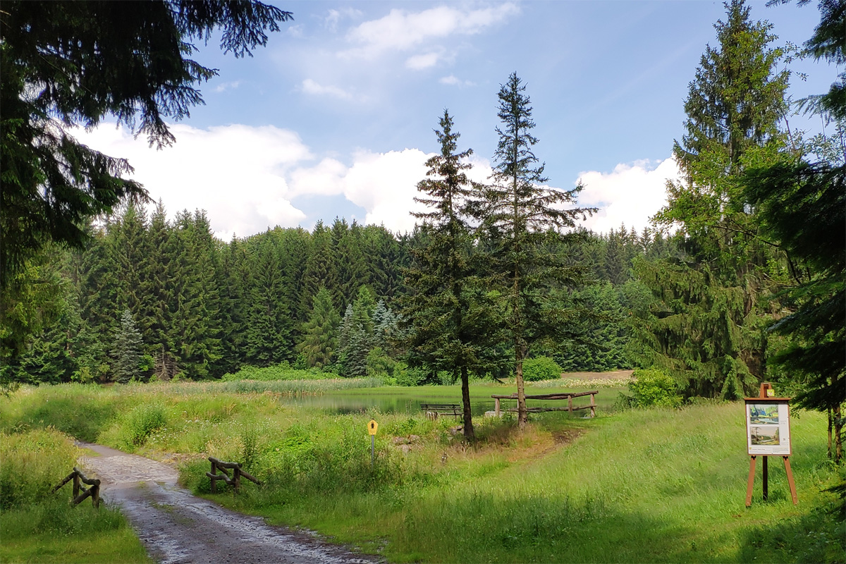 Schwemmteich