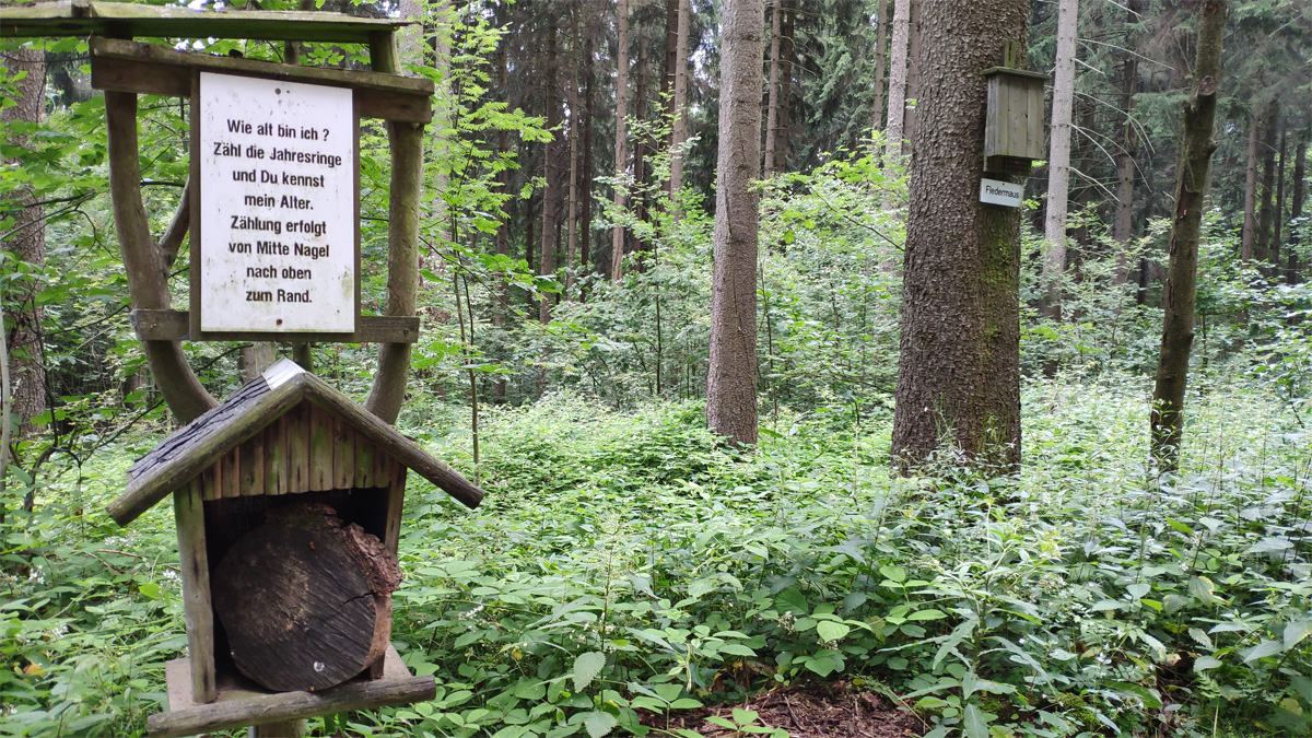 Waldlehrpfad