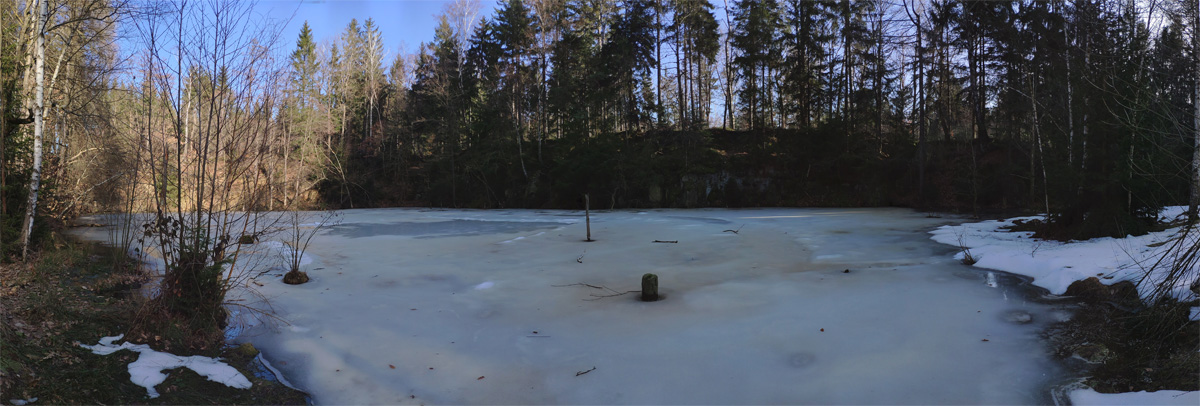 Kleiner Teich im Stadtwald