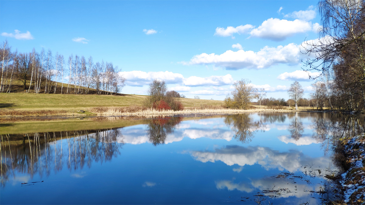 Bobritzscher Teich