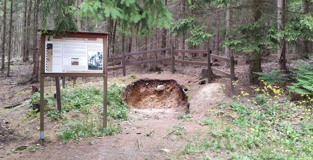 Bodenlehrpfad