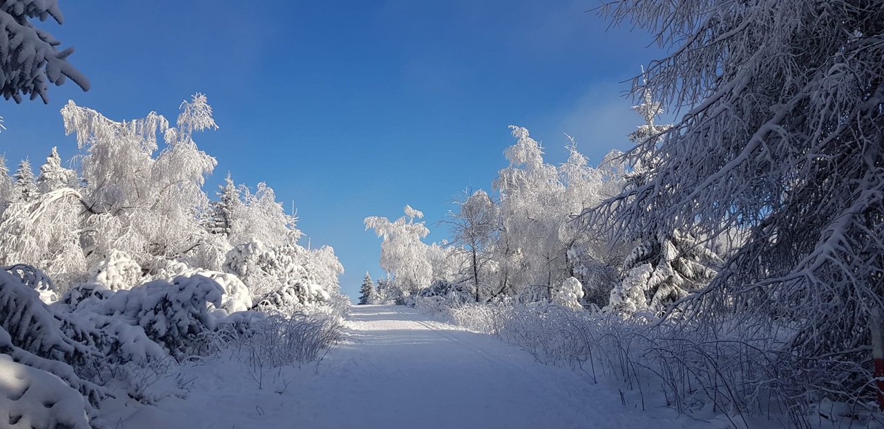 Loipengebiet Altenberg mit Schellerhau und Geising