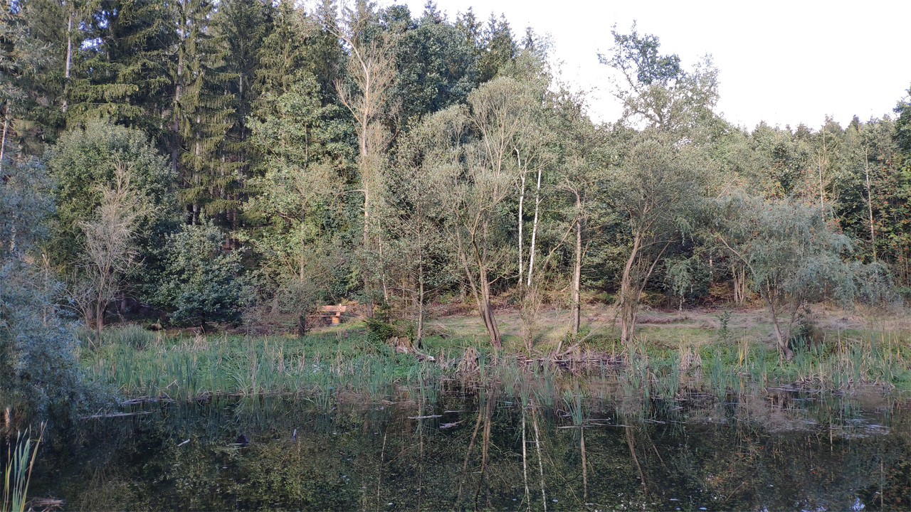 Teich am Schieferbach