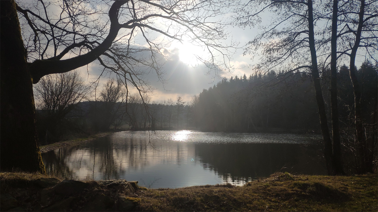 Schwarzer Teich bei Langenau