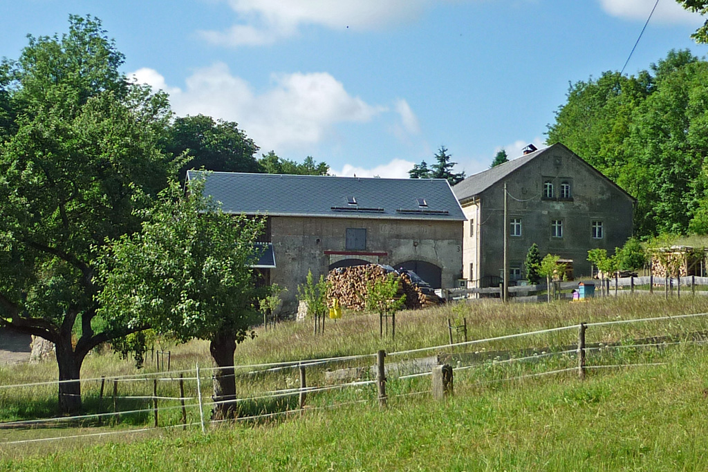 Mühle Bienhof