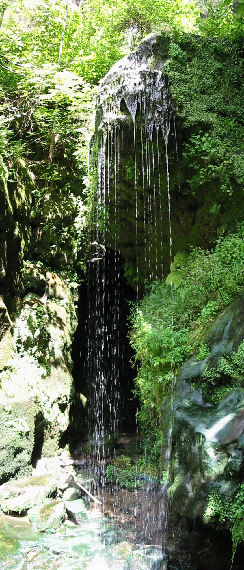 Amselfall
