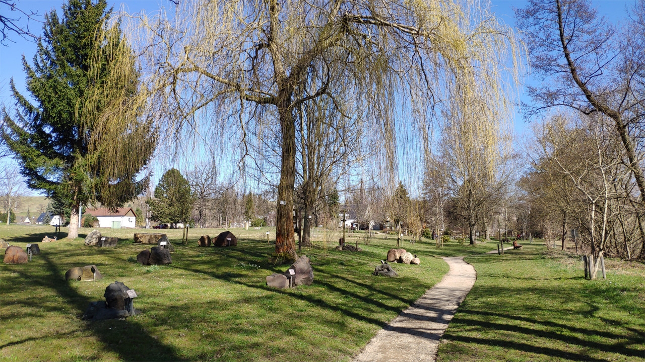 Baumpark Ringelthal