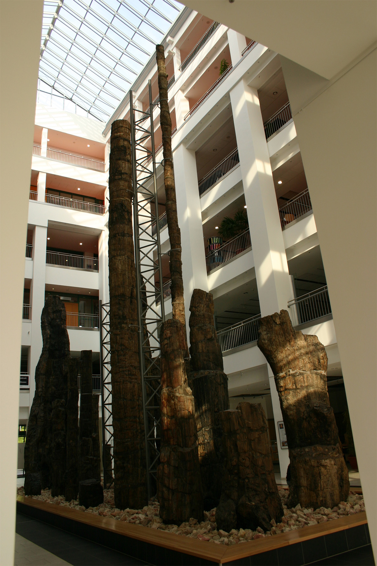 Museum für Naturkunde