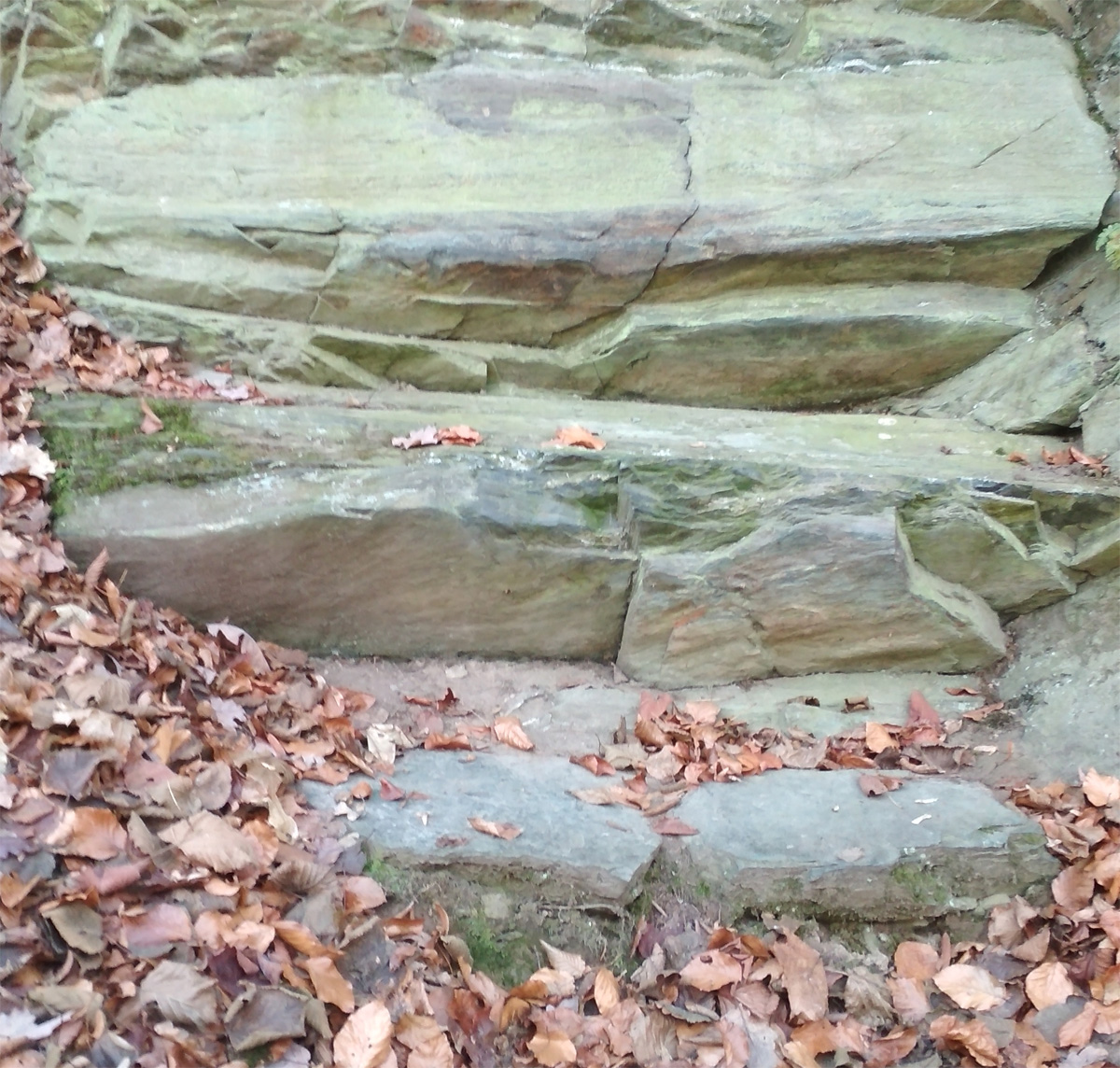 Striegistaler Zwerge Bank
