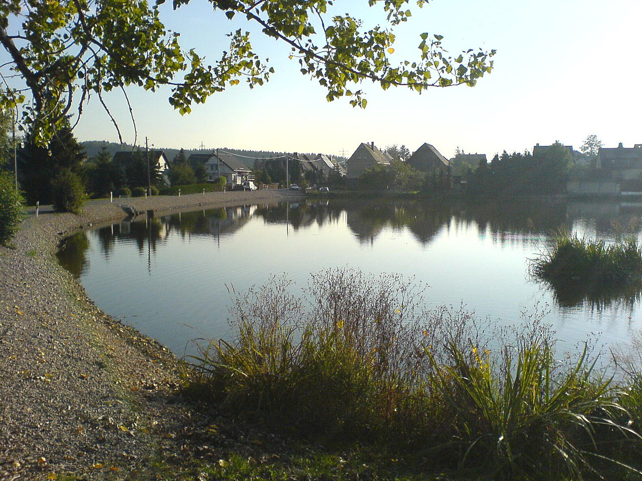 Mühlteich Neuwiese