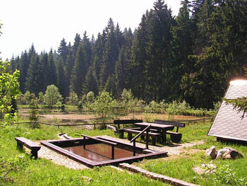 Altes Waldbad