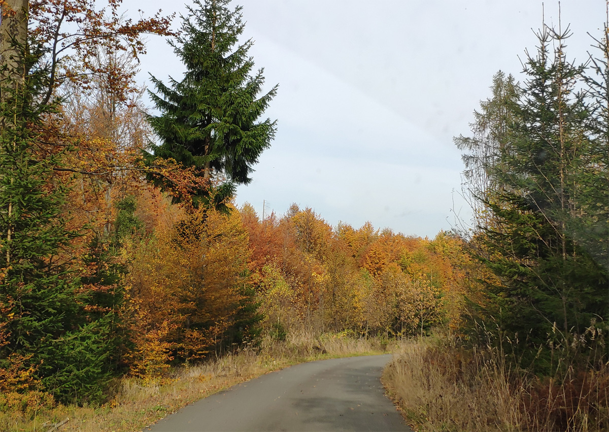 Naturlehrpfad Steinbachtal