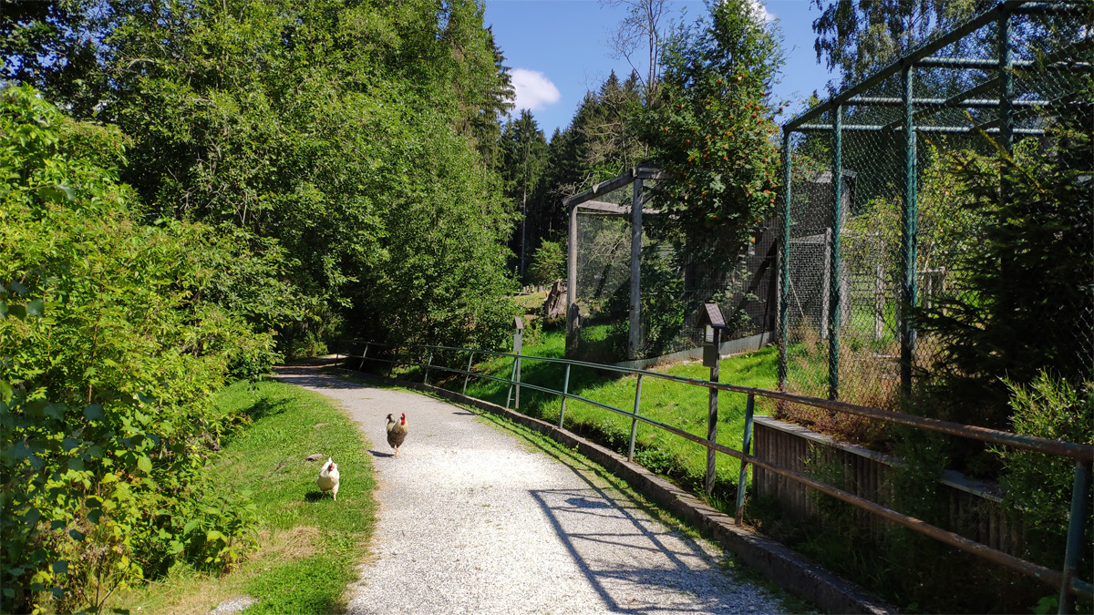 Natur- und Wildpark Waschleithe