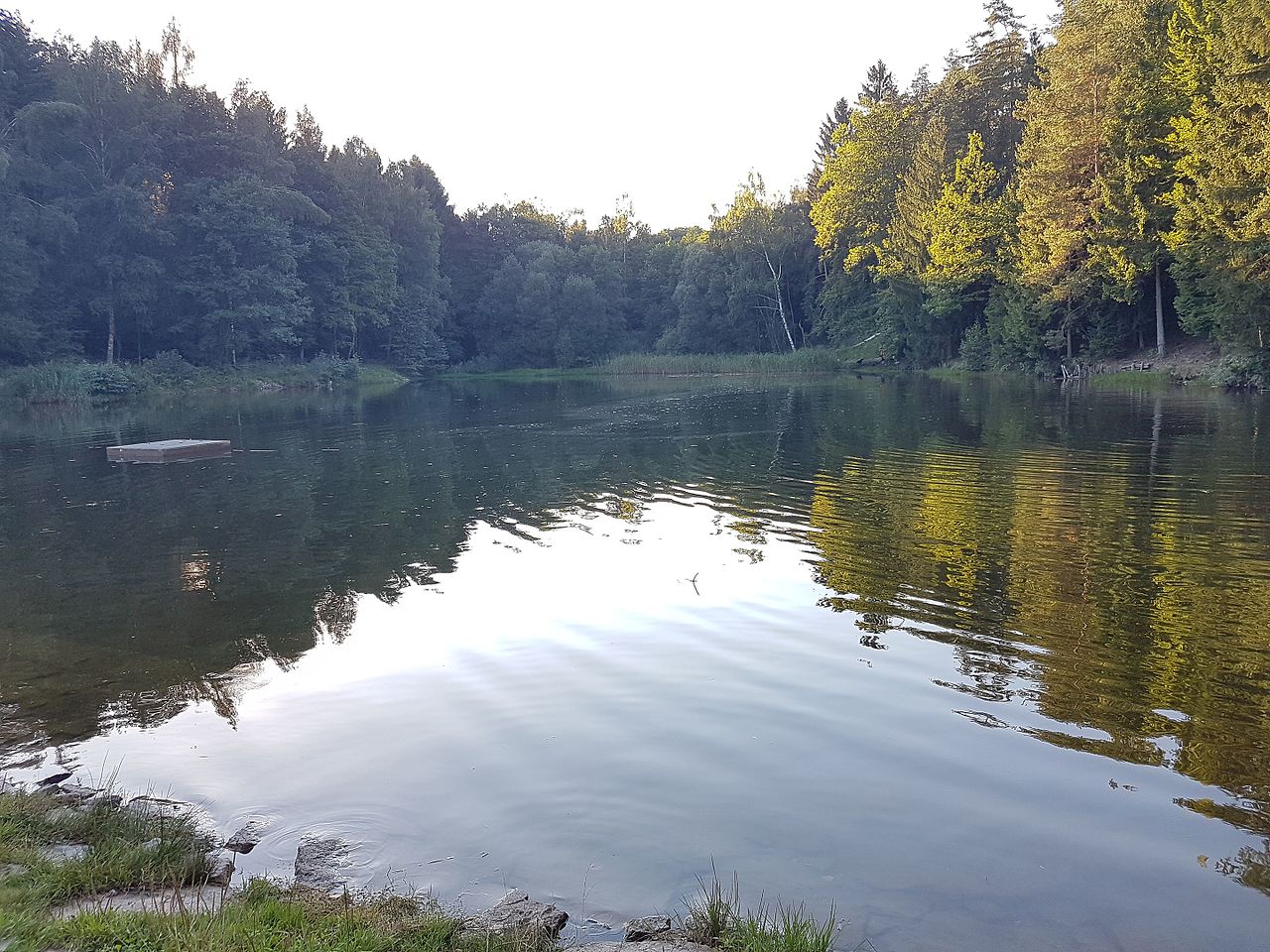 Silberbachteich